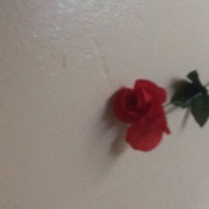 Meet your Posher, Charis